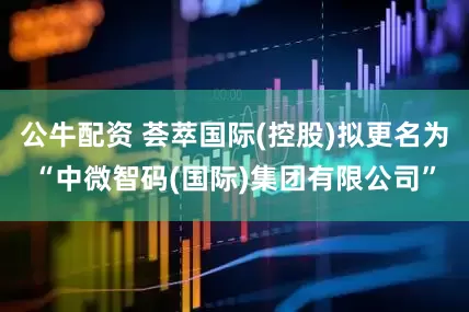 公牛配资 荟萃国际(控股)拟更名为“中微智码(国际)集团有限公司”
