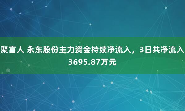 聚富人 永东股份主力资金持续净流入，3日共净流入3695.87万元
