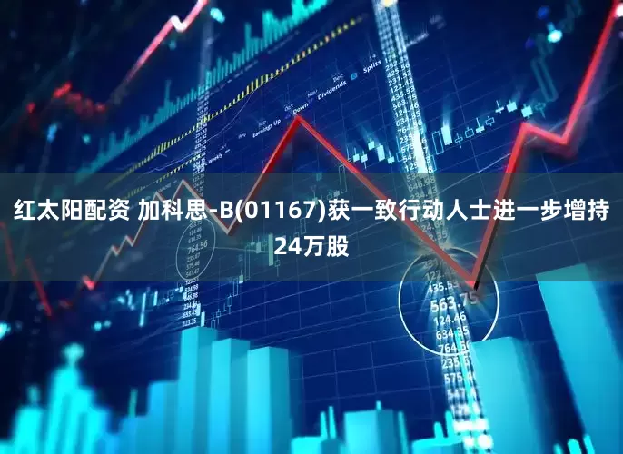 红太阳配资 加科思-B(01167)获一致行动人士进一步增持24万股