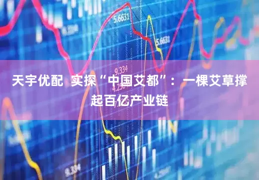 天宇优配  实探“中国艾都”：一棵艾草撑起百亿产业链