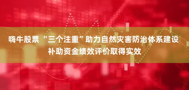 嗨牛股票 “三个注重”助力自然灾害防治体系建设 补助资金绩效评价取得实效