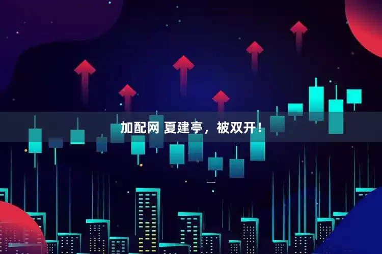 加配网 夏建亭，被双开！