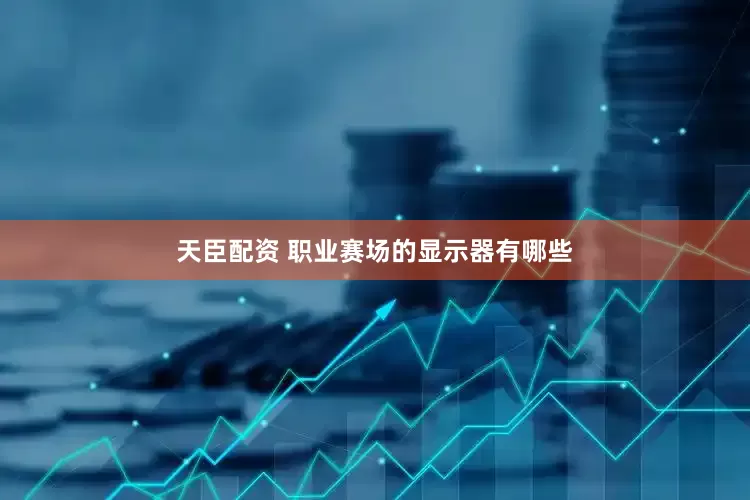 天臣配资 职业赛场的显示器有哪些
